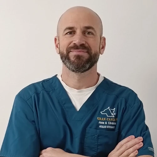 José Alberto Córdoba García